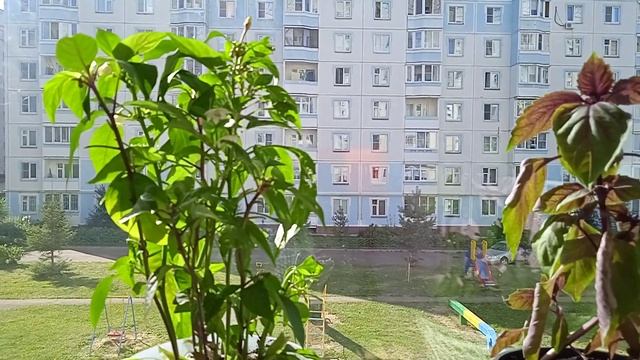 Садик на балконе. смотреть онлайн