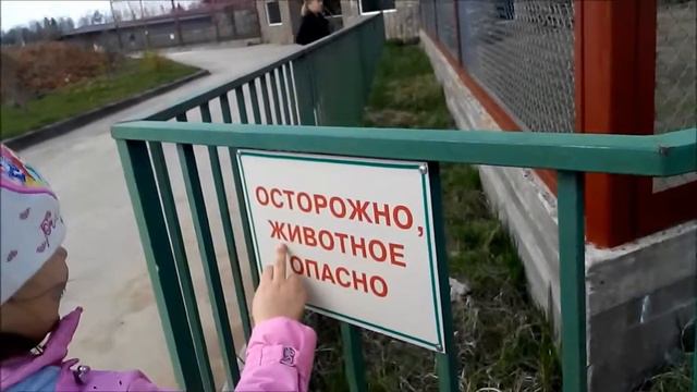 Экзотик Парк(зоопарк).(Ekzotik Park(zoo)) смотреть онлайн