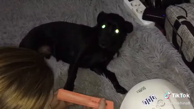 Моя любимая девочка Baby смотреть онлайн