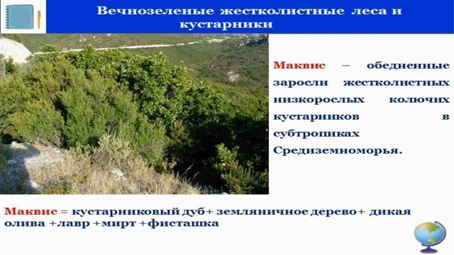 Тема 30. Природные зоны Евразии. Охрана природы смотреть онлайн