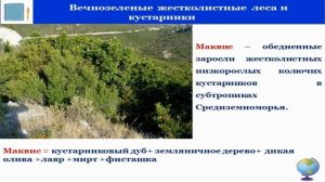 Тема 30. Природные зоны Евразии. Охрана природы