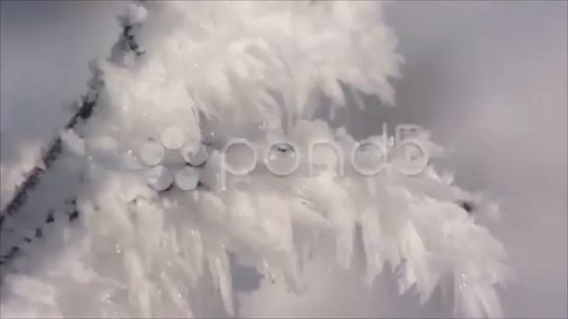 Grass blades Molinia caerulea covered with hoarfrost - extreme close up. Stock Footage смотреть онлайн