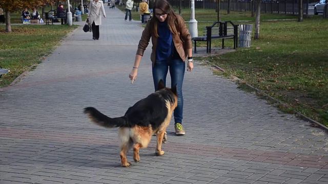 Немного послушания смотреть онлайн