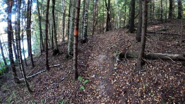 Дорога в Лавру Радонеж - Ратоборское 4K Road to Lavra Radonezh - Ratoborskoe смотреть онлайн