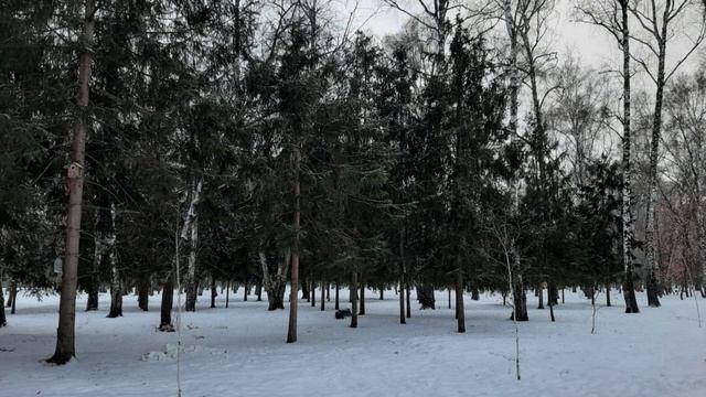 Книга: Как найти свою вторую половинку. Часть 6. смотреть онлайн