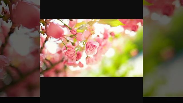 Обзор))))))))))))))))))))весна пришла смотреть онлайн