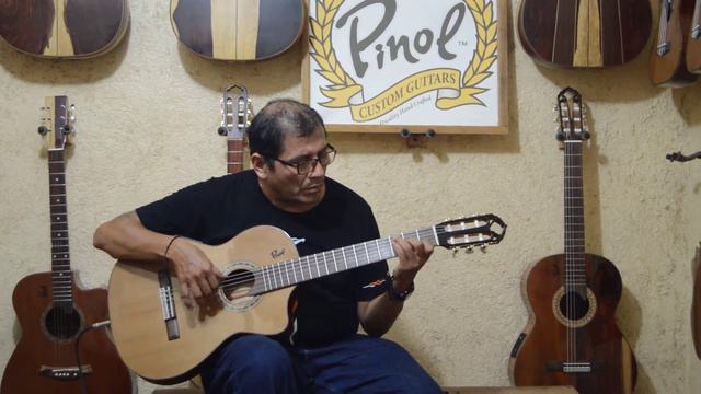 Dust In The Wind ( Kansas ) by Pinol Flamenco Thin Body Guitar w/t Cedar Top & Cocobolo Rosewood смотреть онлайн