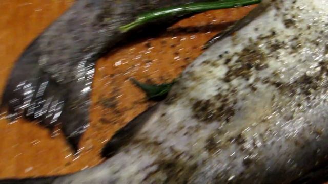 Форель запеченная с лимоном и зеленью! смотреть онлайн
