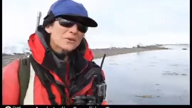 Круизы в Арктику Антарктику www.туризм-сибири.рф смотреть онлайн