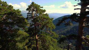 "Эдельвейс" Илья Зудин #NEFORMAT