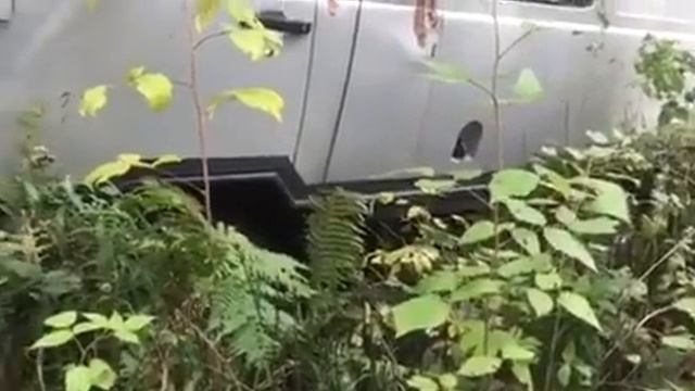 Работа лебёдки на буханке- Овсянкин С.В. смотреть онлайн