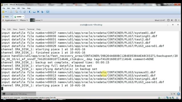 12c Multitenant - Backup Container Database смотреть онлайн