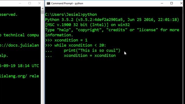 Julia Vs Python Tutorials - While Loop смотреть онлайн
