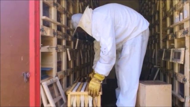 Формирование сборных отводков. Кассетный павильон "Берендей" смотреть онлайн