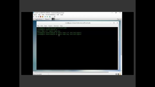 Baixando e Instalando Nginx Plus no CentOS 7 смотреть онлайн