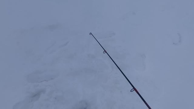 Это все СУДАКИ! Первый опыт зимой с Panoptix смотреть онлайн