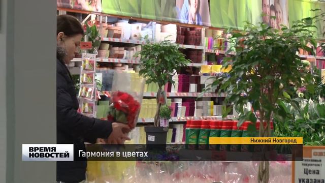 Гармония в цветах смотреть онлайн