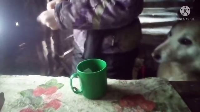 Встречаю гостей и наченаем готовить место к престрою домику смотреть онлайн