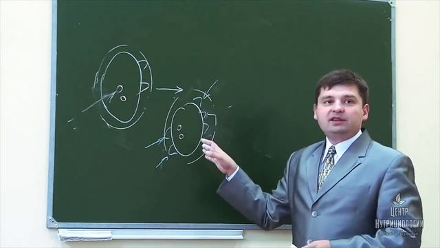 NUTRICENTER урок №1 смотреть онлайн
