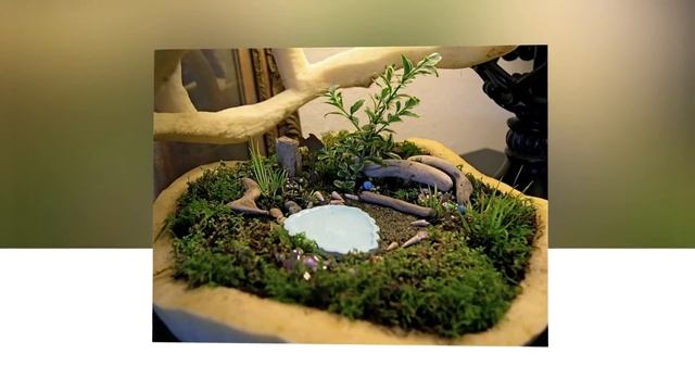 Мини сад в горшке, идеи миниатюрных садов смотреть онлайн