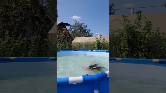 я купаюсь в БАССЕЙНЕ +30 градусов 🥵🥵🥵 ЖАРА ЛЕТО смотреть онлайн