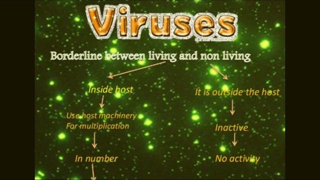 CLASS-4TH SCIENCE CH-6 REVISION (TOPIC-MICROBES) смотреть онлайн