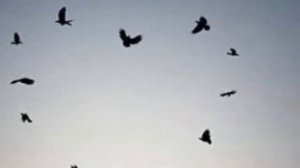 Рок Острова -Я ваша тайна