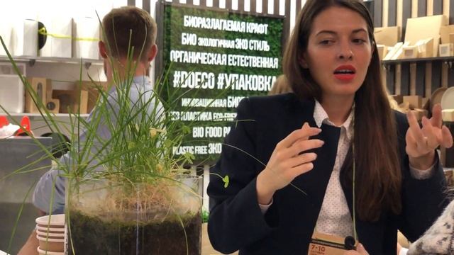 Эко посуда миф или реальность