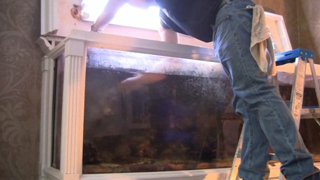 Breaking Down a 300 gallon Reef Tank, LA Fishguys, Episode 109 pt 1 смотреть онлайн