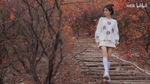 Фэн Тимо песня ''Фэн''.mp4