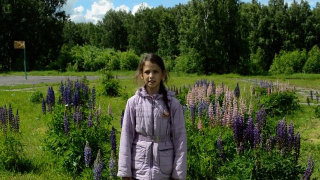 Физминутка "БАБОЧКА", проводит Анна Пожар МАУ "ДК "Светлый" г. Томск смотреть онлайн