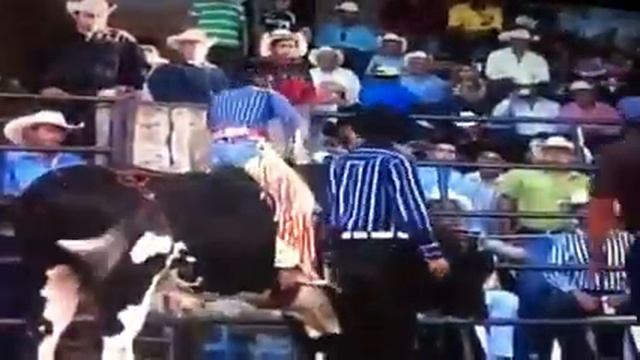 El pequeño Tom de calaya Gto de Los Elegantes de el kora Mu смотреть онлайн