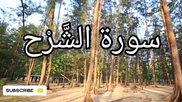 Surah Ash Sharh urdu Translation || Quran Pak urdu Tarjama #islam смотреть онлайн