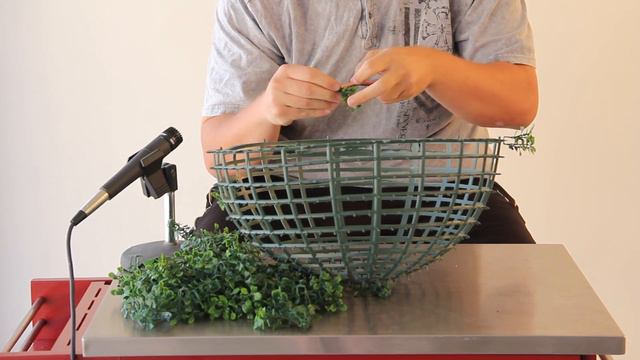 Boxwood Ball Construction from Geranium Street Floral смотреть онлайн