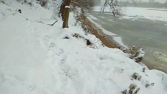 Прорубь на Живописной 24.11.2023. Закаливание смотреть онлайн