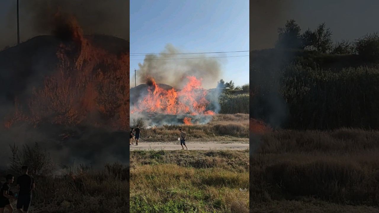 Страшный степной Пожар в Ейске у лимана. Ейск 2024 новости. @tutsi-dieti смотреть онлайн