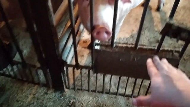 У нас как всегда стройка!!!! смотреть онлайн