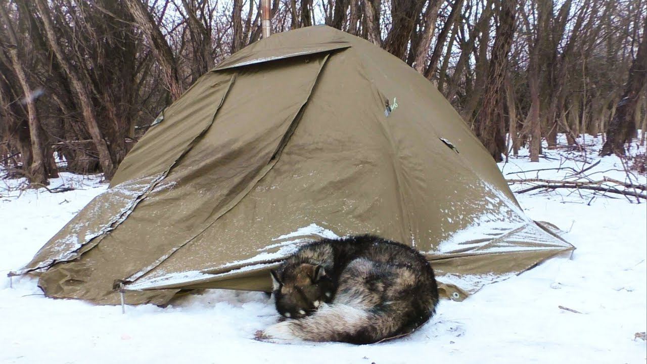 Рыбалка с ночёвкой в палатке. ШАКАЛЫ выли ночью, ЛЕЩИ клевали днём. Зимняя рыбалка. Жерлицы смотреть онлайн