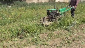 Уборка БОТВЫ КАРТОФЕЛЯ !!!