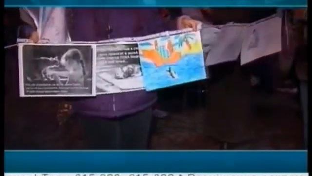 3  Всемирный день защиты прав животных 2010