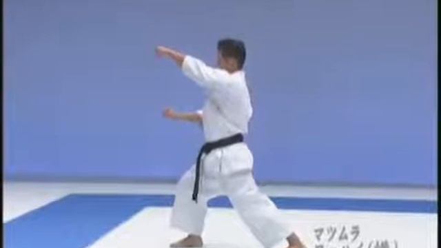 Todas las katas Shito Ryu: Matsumura No Rohai смотреть онлайн