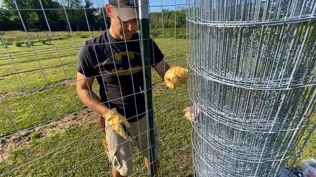 How to Install Welded Wire Fencing on T-Posts, Berry Patch Expansion смотреть онлайн