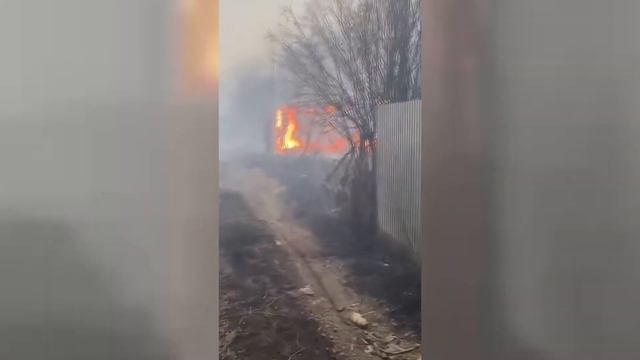 Полицейские помогли потушить пожар на дачах в Петропавловске смотреть онлайн