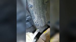 Чистка дренажа под крыльями Соляриса!