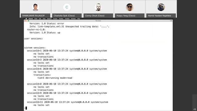 NSO Developer Days Jun 2020: Troubleshooting in NSO смотреть онлайн