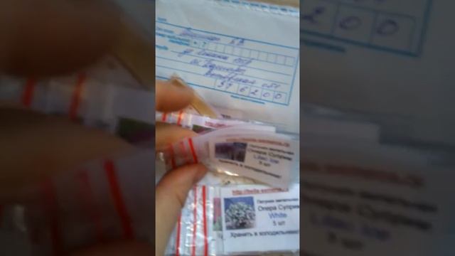 Профессиональные семена петунии почтой. Интернет магазин Белла. смотреть онлайн