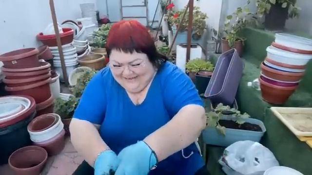 ПЕЛАРГОНИИ. ВЫСАДКА НА ПМЖ смотреть онлайн