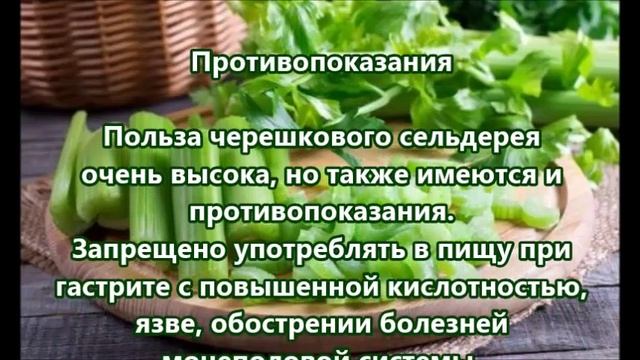 Сельдерей черешковый польза и вред для здоровья смотреть онлайн