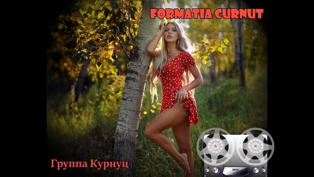 Formatia Curnut (Группа Курнуц) - У Алёнки карие глаза смотреть онлайн