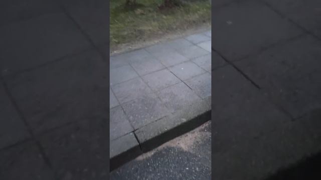 Кратенький обзор на Пежо 306 покупателю смотреть онлайн